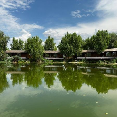 Hotel Zaga Zaga Sat Tecuci Zewnętrze zdjęcie